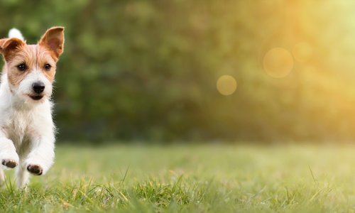 AdobeStock_315334622