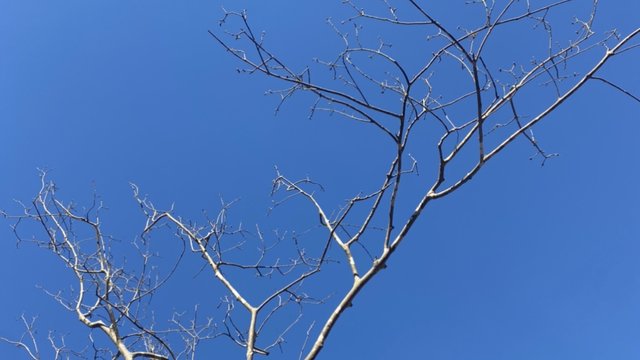 IMG_7D561B6B8BFD-1.jpeg
