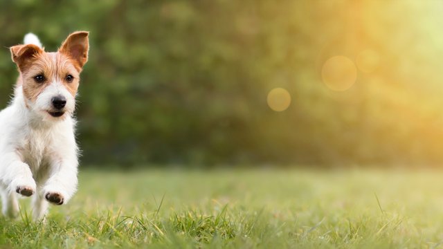 AdobeStock_315334622