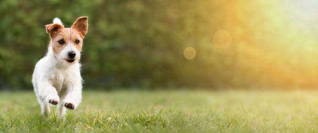 AdobeStock_315334622