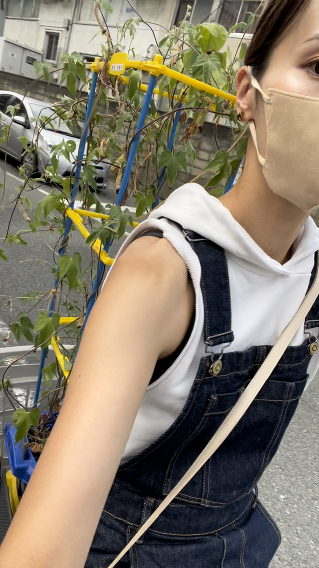 朝顔