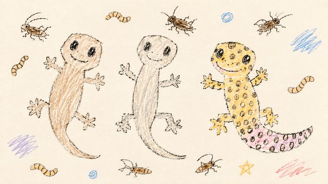 Geckoes